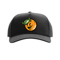 RDLNDS Mascot Cap